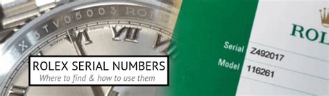 watchnut rolex|Rolex serial number lookup.